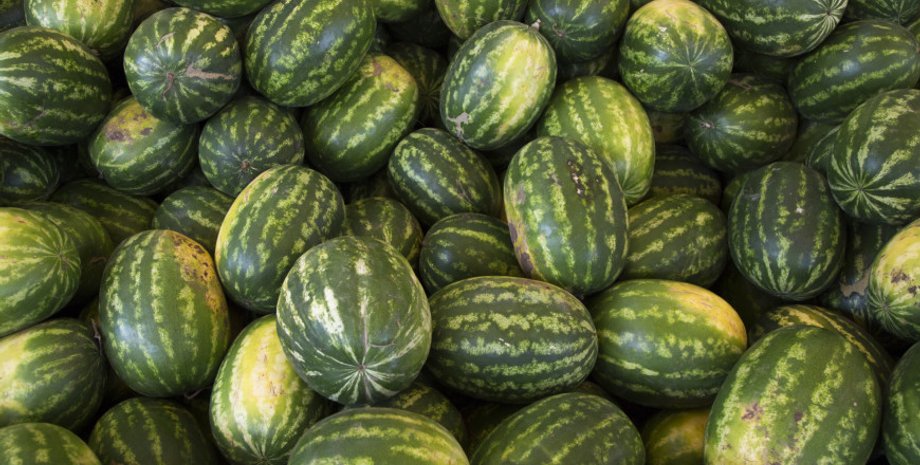 арбузы, ижевск, удмуртия, драка, арбузник, день арбуза