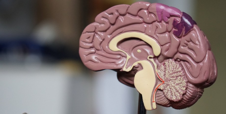 мозг опухоль, болезнь