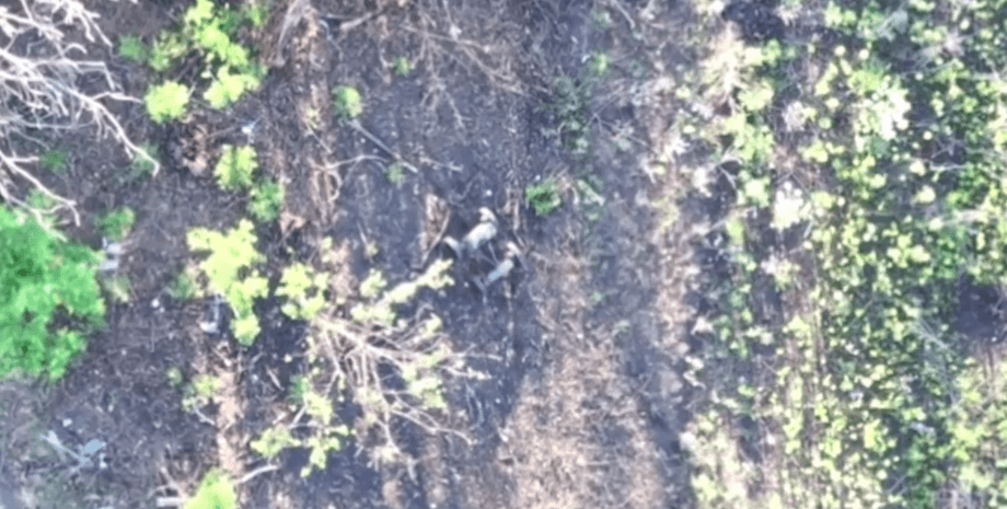 наземный дрон, дрон, дрон ВСУ, наземный дрон ВСУ