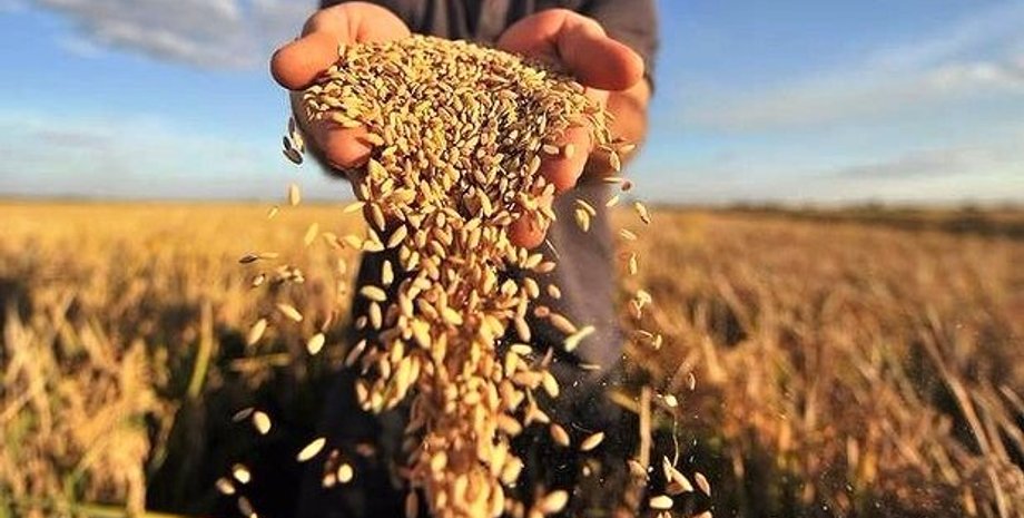 Фото: agronews.ua