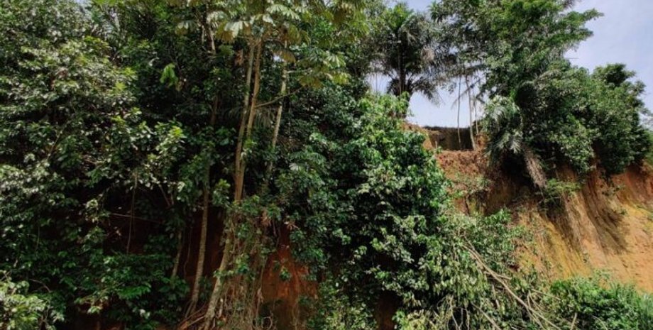 леса, Африка, поселения, ранние люди, исследования, орудия труда, тропики, хронология, популяция, среда, хронология