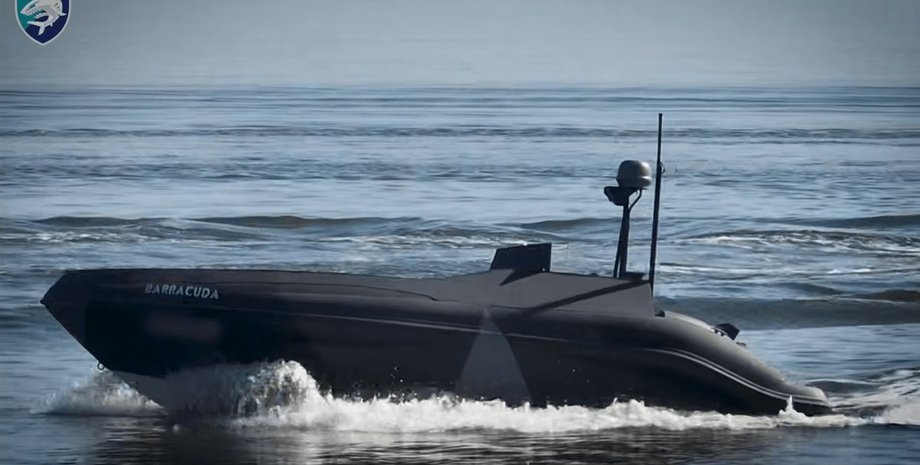 Share: The Naval Forces of Ukraine published a video of the attack by marine dro...