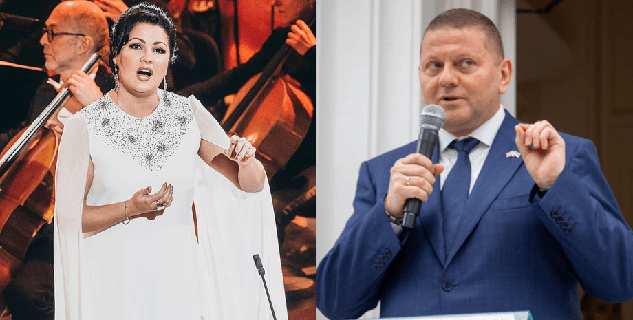 Залужний різко розкритикував Королівський оперний театр у Лондоні через участь російської співачки Анни Нетребко