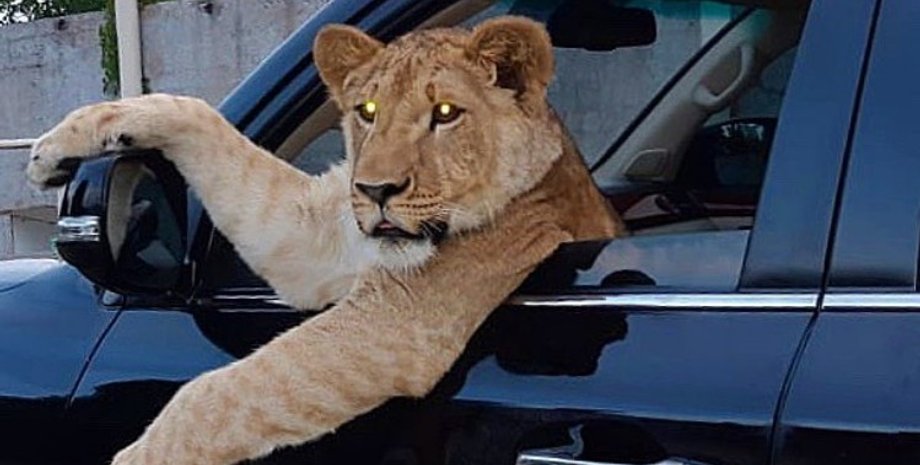 Фото: Instagram / 0001_im 