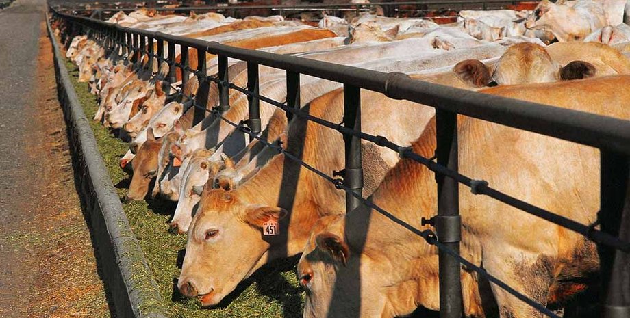 Фото: worldprints.com