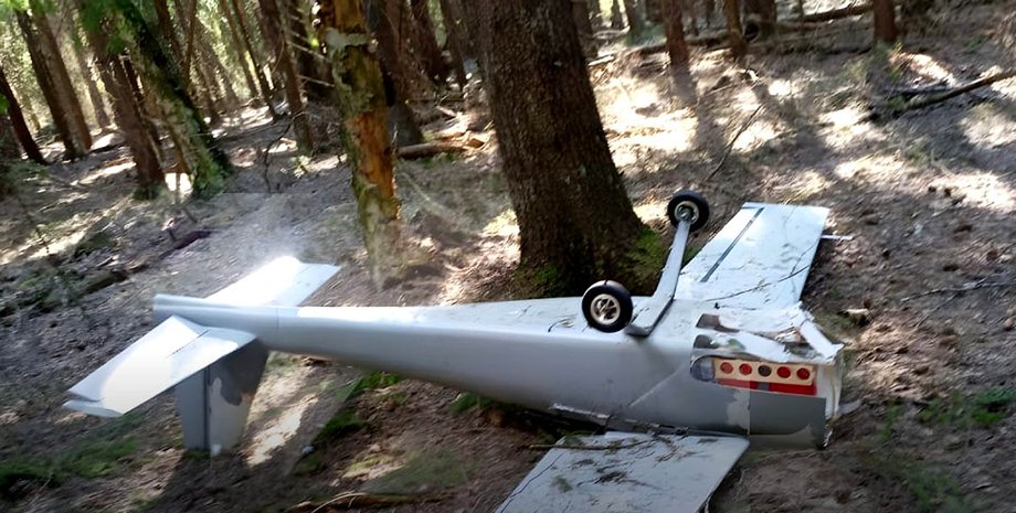 Дрон у лісі ілюстративне фото