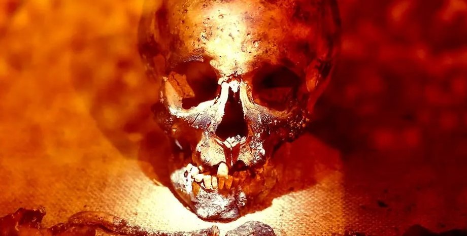 останки, древний мозг, кокаин