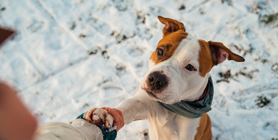 Ілюстративне фото. Погода