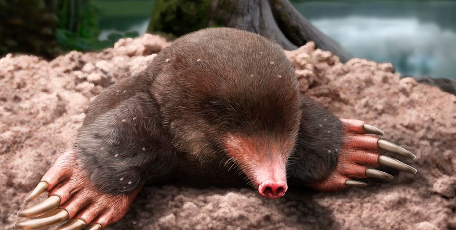 В кратере вулкана обнаружен совершенно новый вид древнего крота