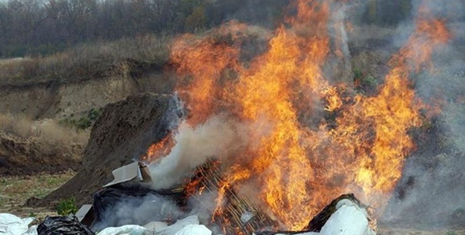 Фото: пресс-служба Национальной полиции