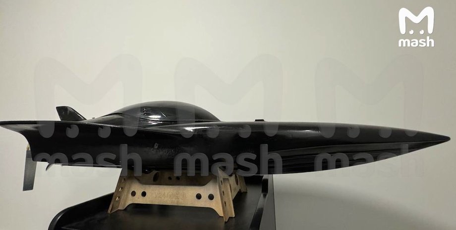 морской дрон афалина