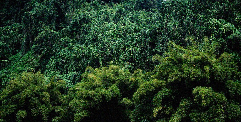 острів вануа-ліву