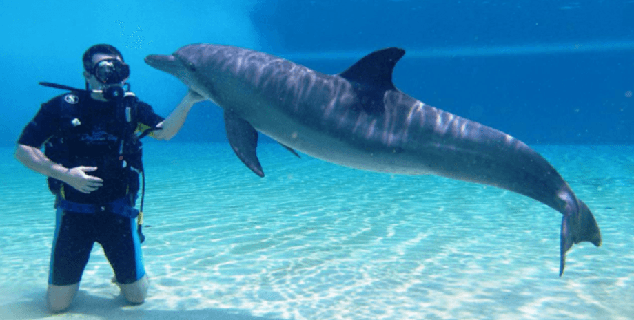 Фото с сайта vesti-ua.net