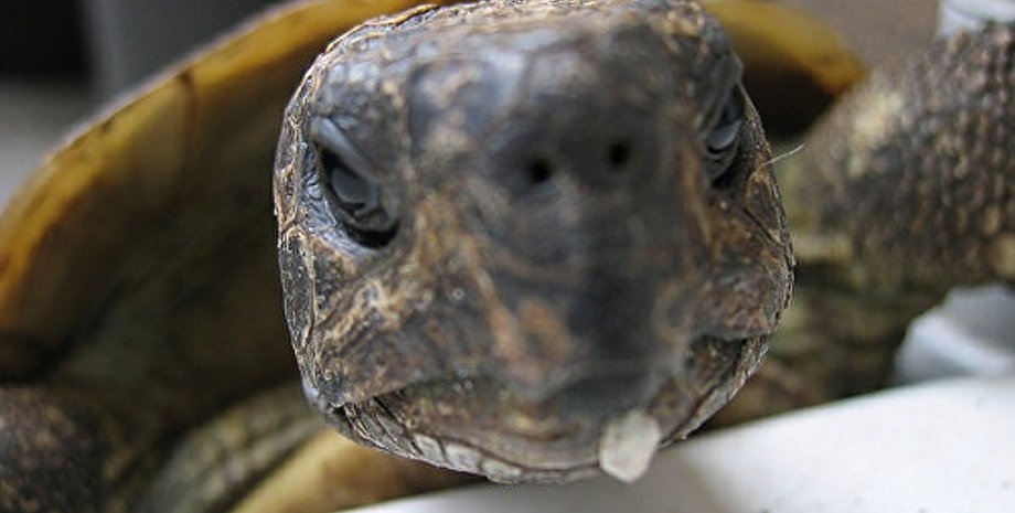 иллюстративное фото РИА Новости