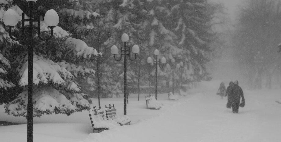 снігопад у парку