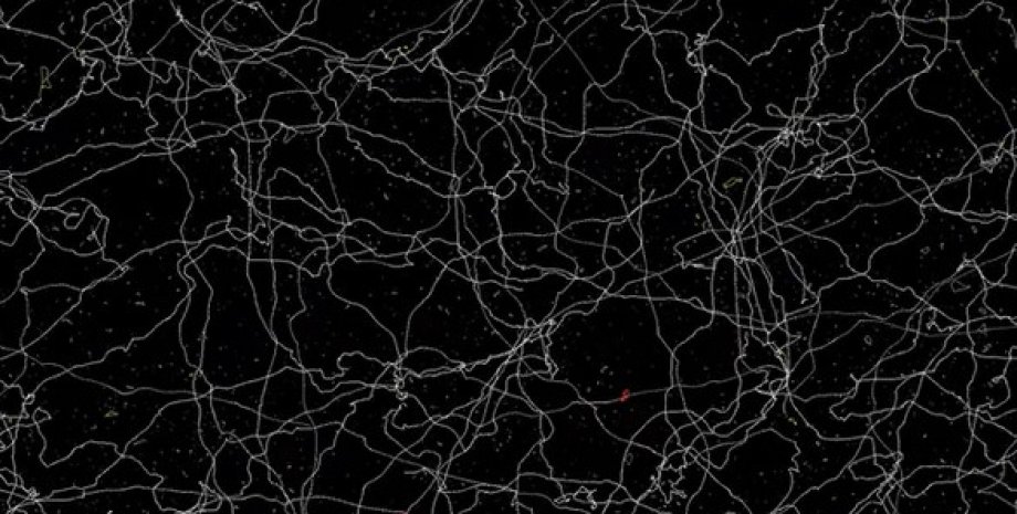 космические струны космические струны