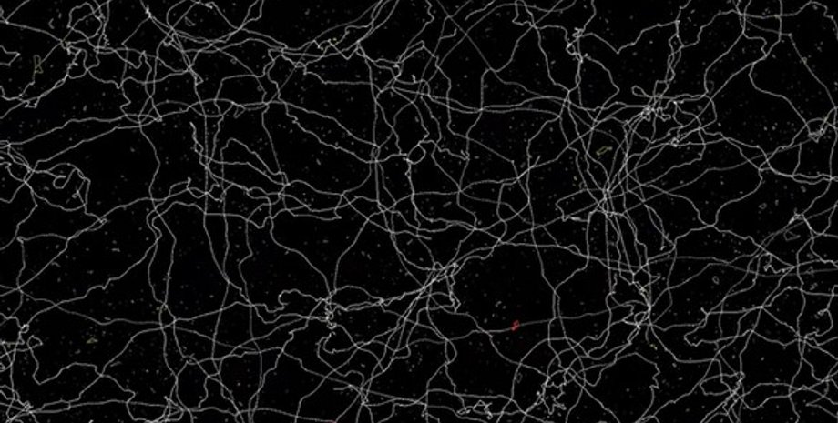 космические струны