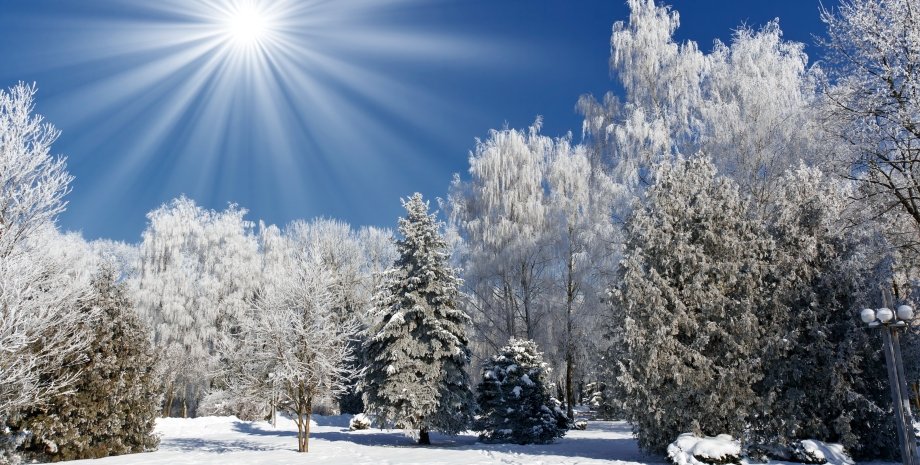 Україна зима січень аномальна погода тепло сніг