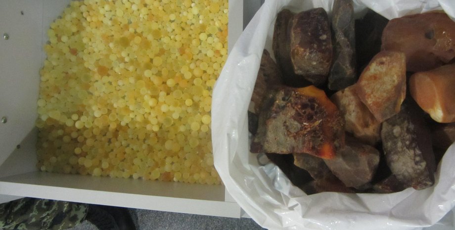 Янтарь / Фото: Госпогранслужба