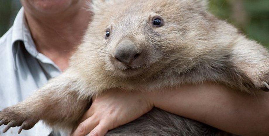 Фото с сайта realax.ru