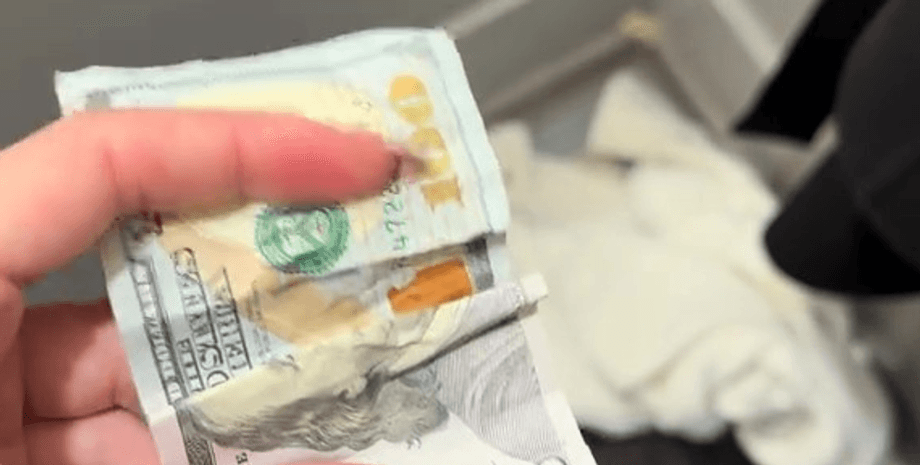 100 долларов в руках Деньги, доллары