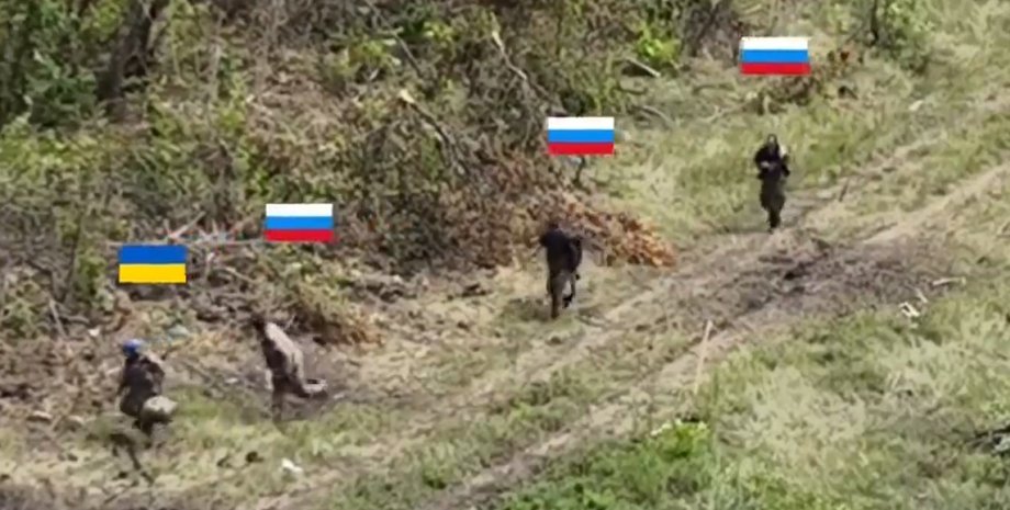 ведуть у полон