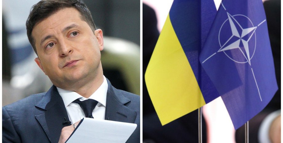 Зеленский, НАТО, членство, ПДЧ,