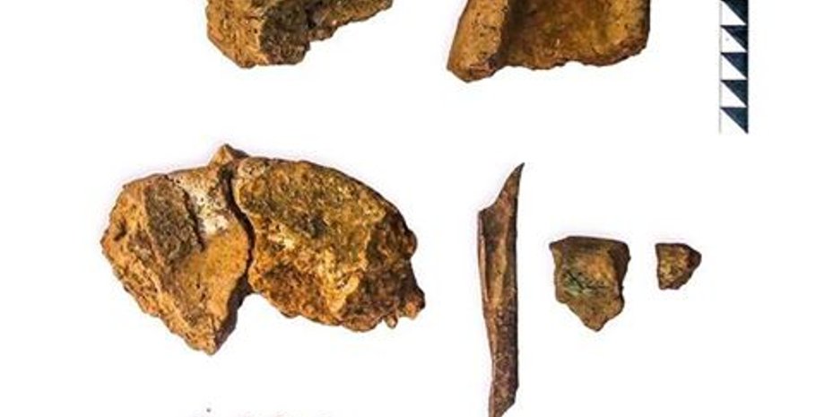 Фото: Каменец-Подольская археологическая экспедиция