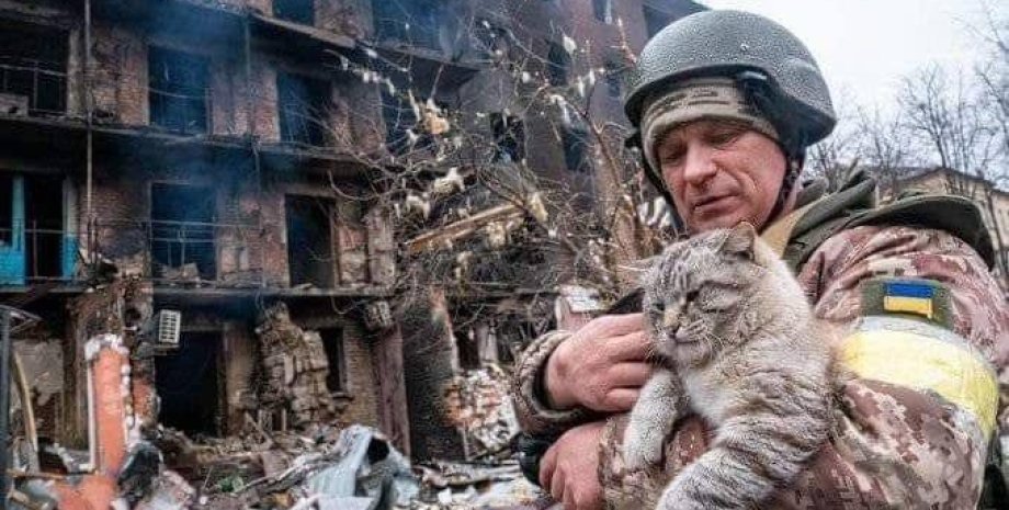 животные на войне, помощь животным, брошенные животные, как помочь животным, коты и собаки на войне