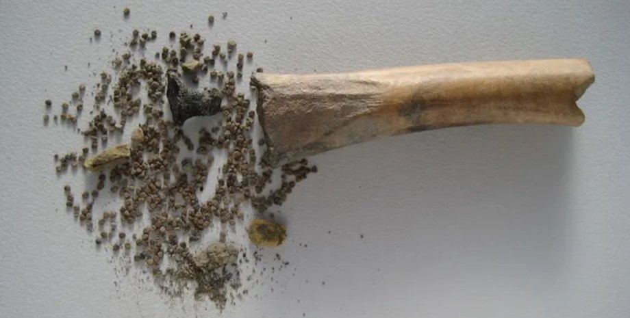 ядовитые семена