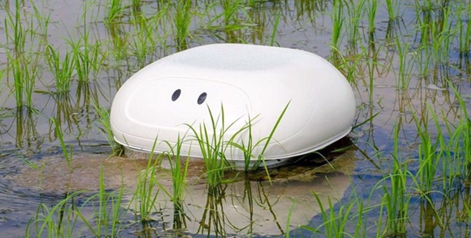 Фото: кадр из видео