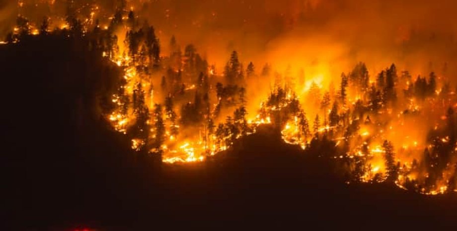 масштабные лесные пожары, южная Корея, мужчина, обряд, сгорели гектары леса