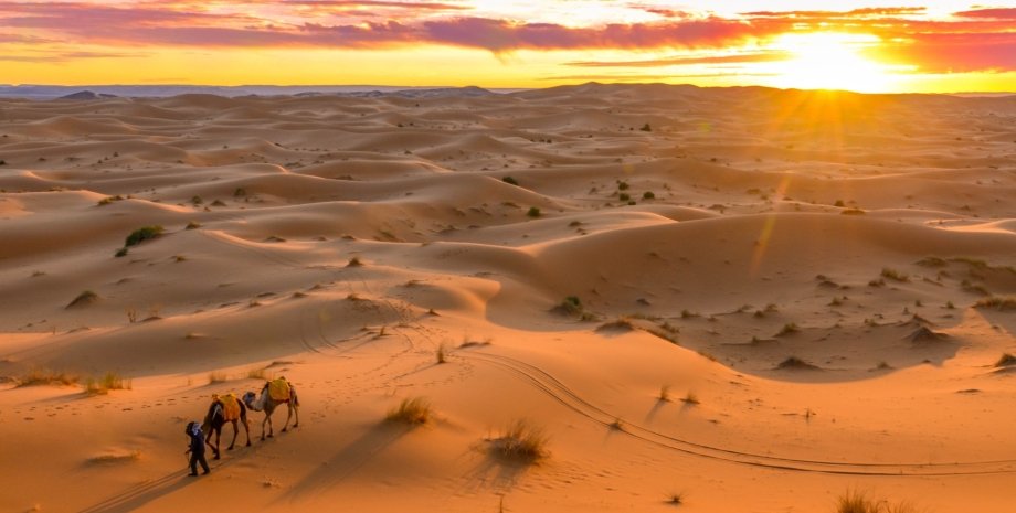 На самом деле лишь 25% Сахары покрыто песком Лишь четверть Сахары на самом деле покрыта песком: что находится на другой части пустыни0