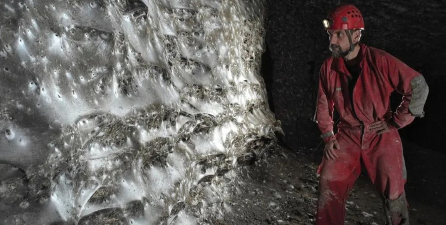 У Сірчаній печері знайдено найбільше павутиння у світі: на ньому сидить 111 тис. павуків (фото)