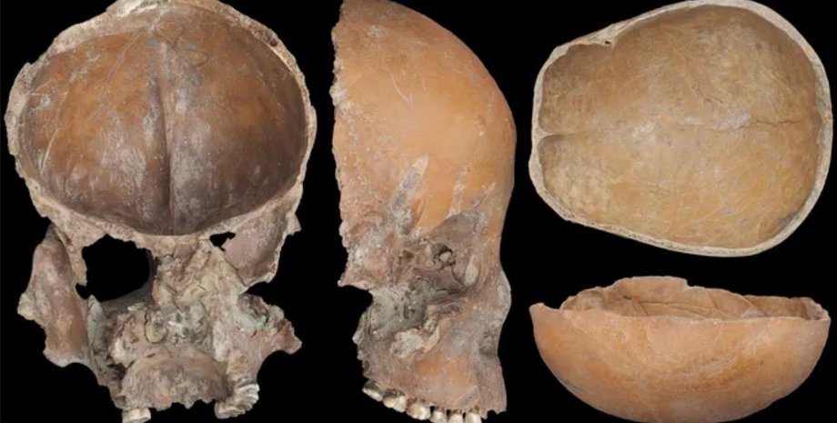 ученые рассказали о черепах и других жутких находках на востоке Китая