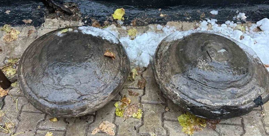 Находки могут быть окаменелостями