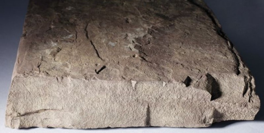 руны руны, рунический камень, Норвегия, футарк, исследования, руническая надпись, открытие, культура, захоронение, железный век, археологи, археология