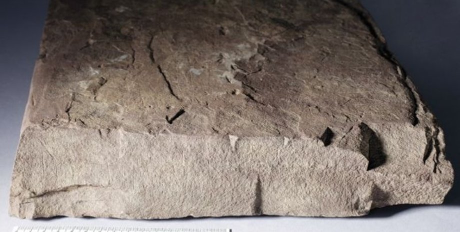 руни, рунічний камінь, Норвегія, футарк, дослідження, рунічний напис, відкриття, культура, поховання, залізний вік, археологи, археологія