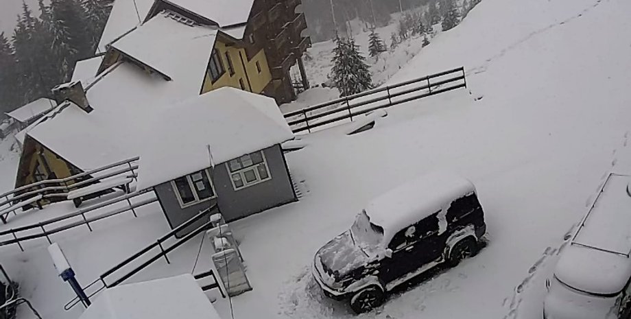 Фото: скриншот из видео SNIGINFO