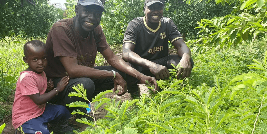 адама дьєме, сенегал, чоловіки