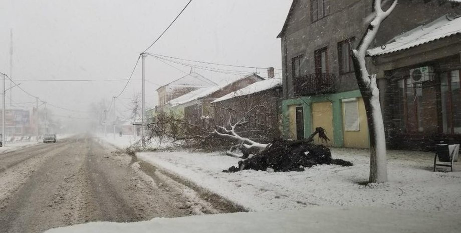 Фото: facebook.com/bojcenko