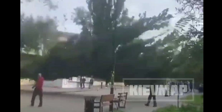 Київ, тополя, студенти,