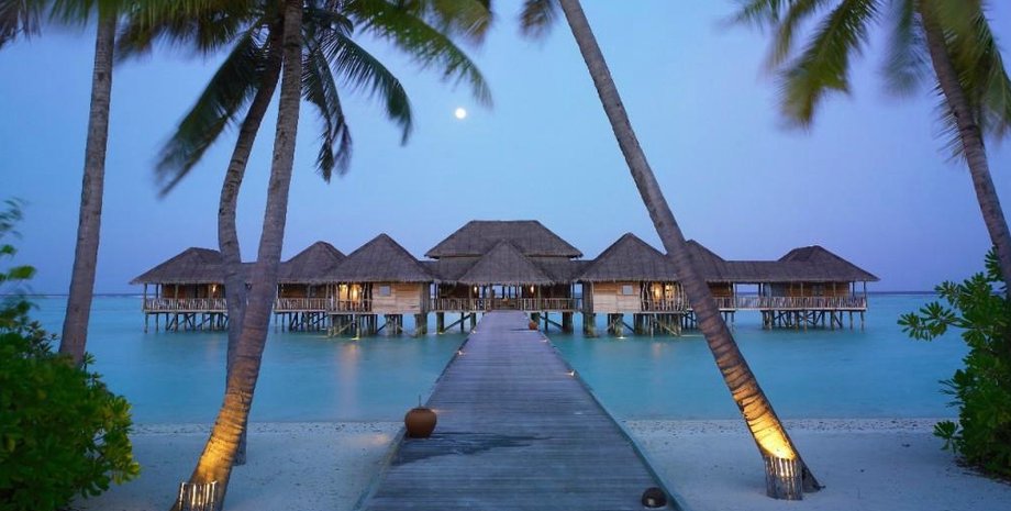 Фото: открытые источники