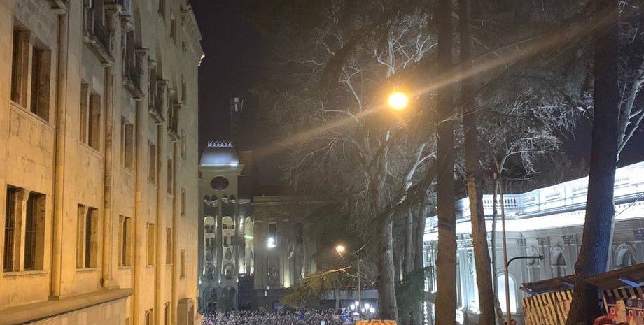 толпа, митинг, протесты, тбилиси