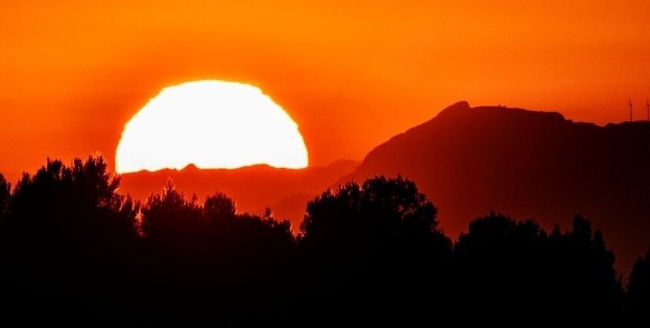 спека, Сонце, дерева, фото