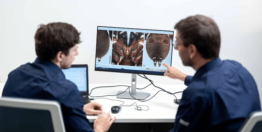 Ученные, эксперты, специалисты, паук, лаборатория, монитор,