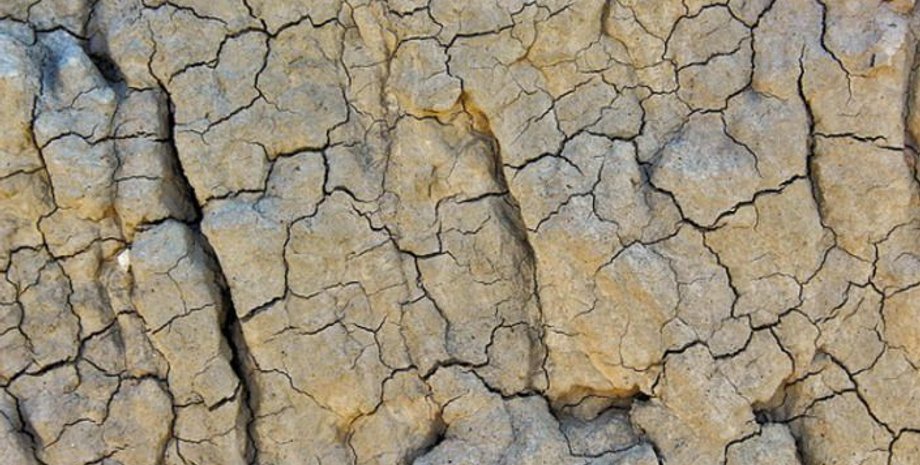 Иллюстративное фото