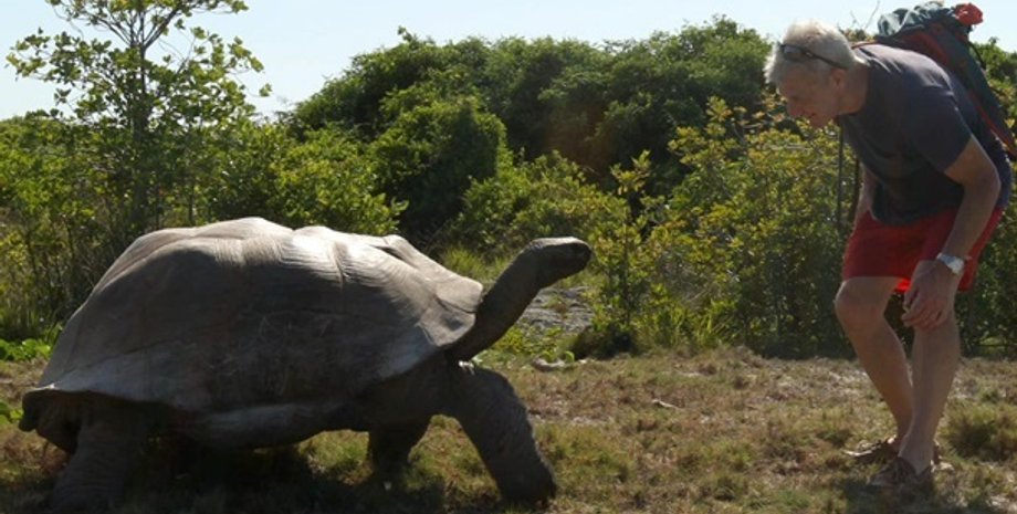Фото: Neil Gelinas / National Geographic