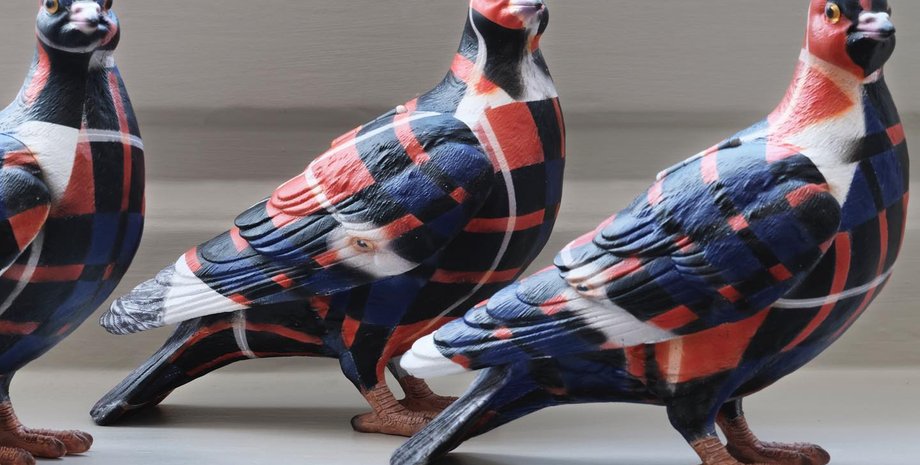 клатч, клатч голубь