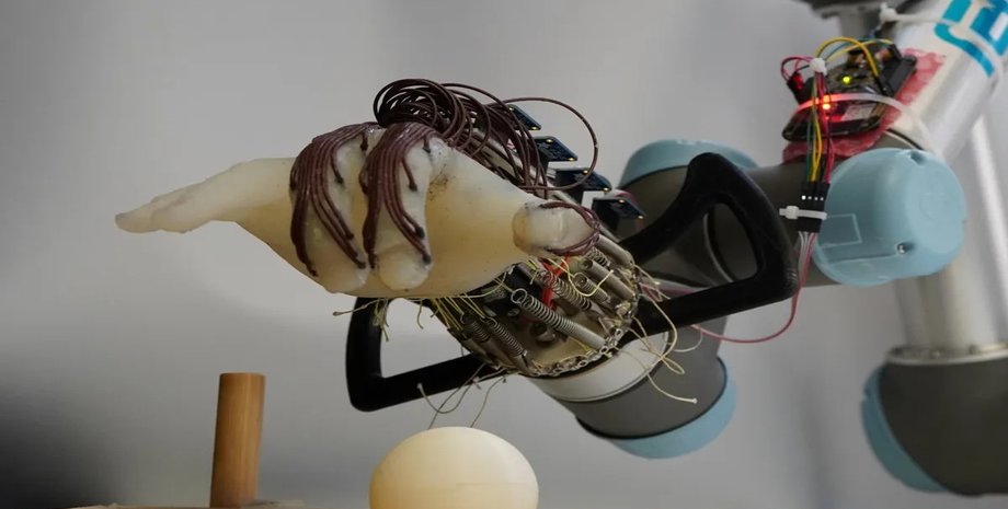 Чутлива роботизована рука, що чутливо реагує